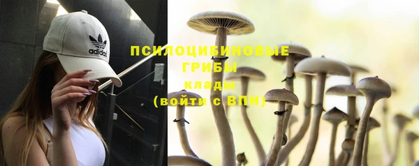 гидропоника Абинск