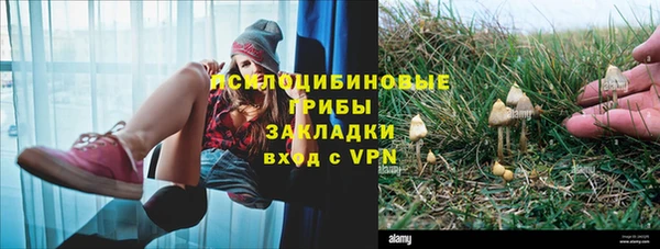 гидропоника Абинск