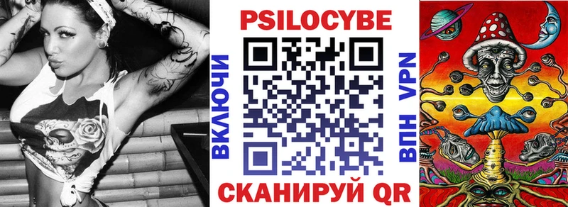 Галлюциногенные грибы Psilocybe  что такое   Шахунья 
